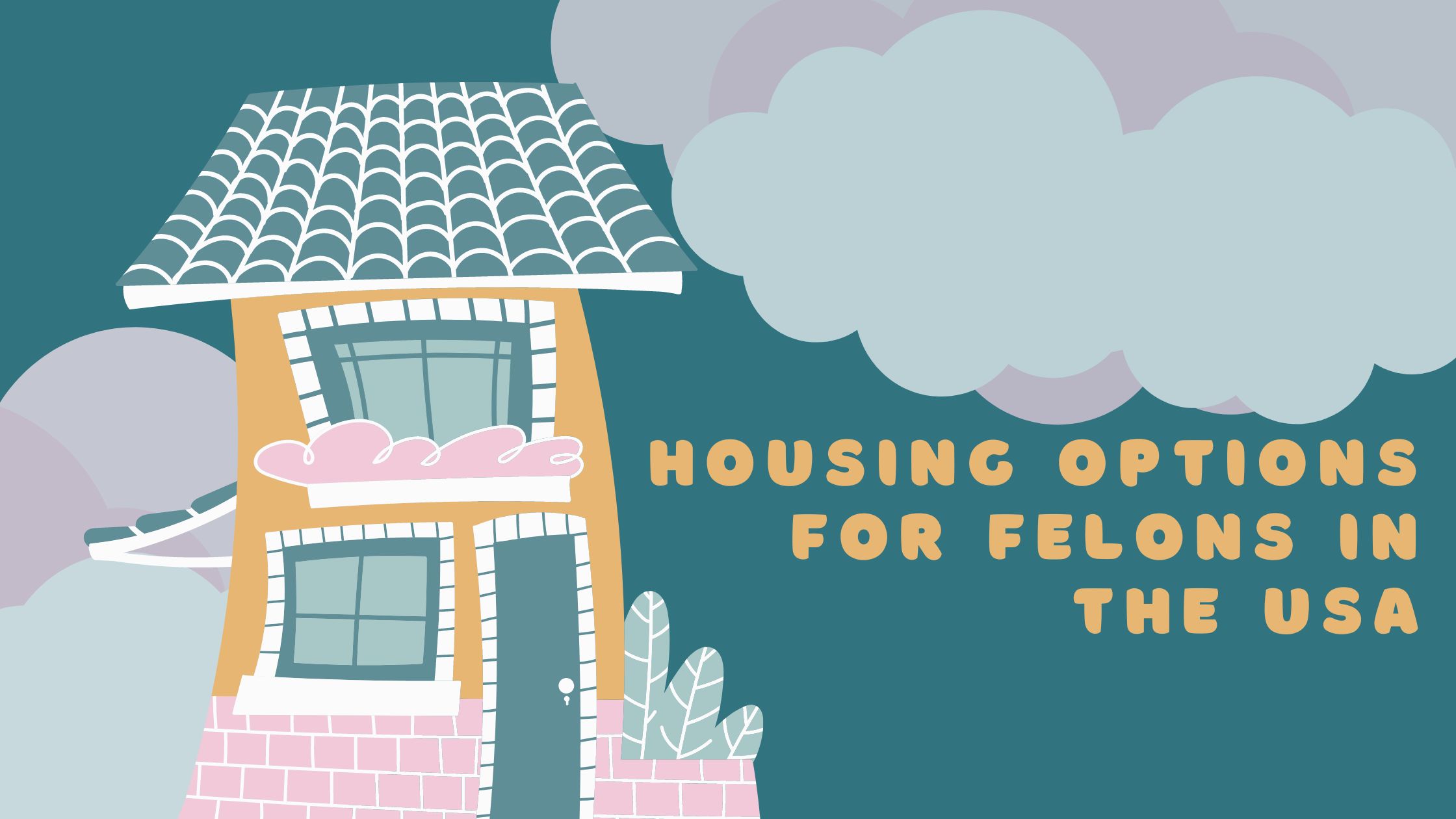 Read more about the article Housing Options for Felons in the USA